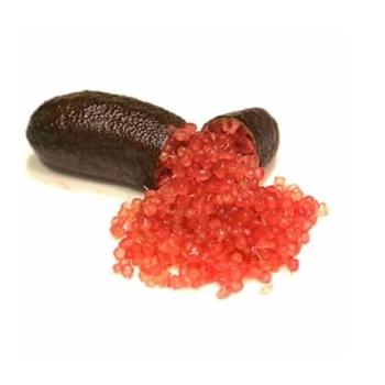 Fingerlimette 'Crimson Tide'